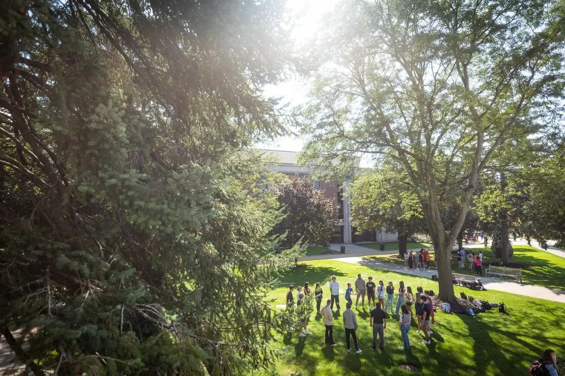 People standing in the grass on campus.